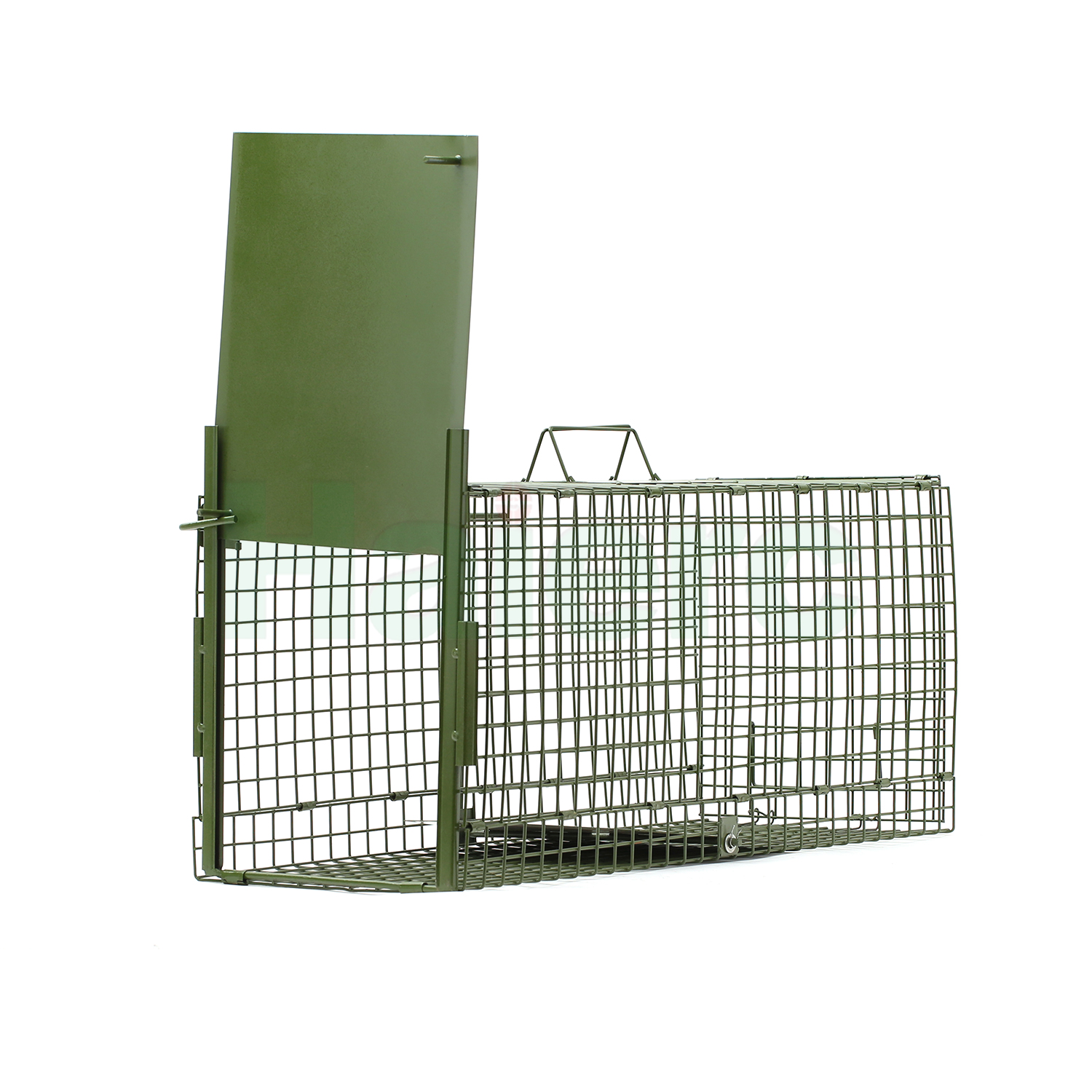 >Single Door Squirrel/Cat Trap Cage HC2611